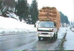 新潟県津南町には４月の中旬でも道路の端には、雪が５０センチも残っていた。